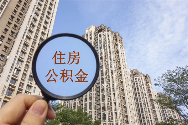 阿里离职多久可以取住房公积金(离职多久后能取公积金) 阿里离职多久可以取住房公积金(离职多久后能取公积金)